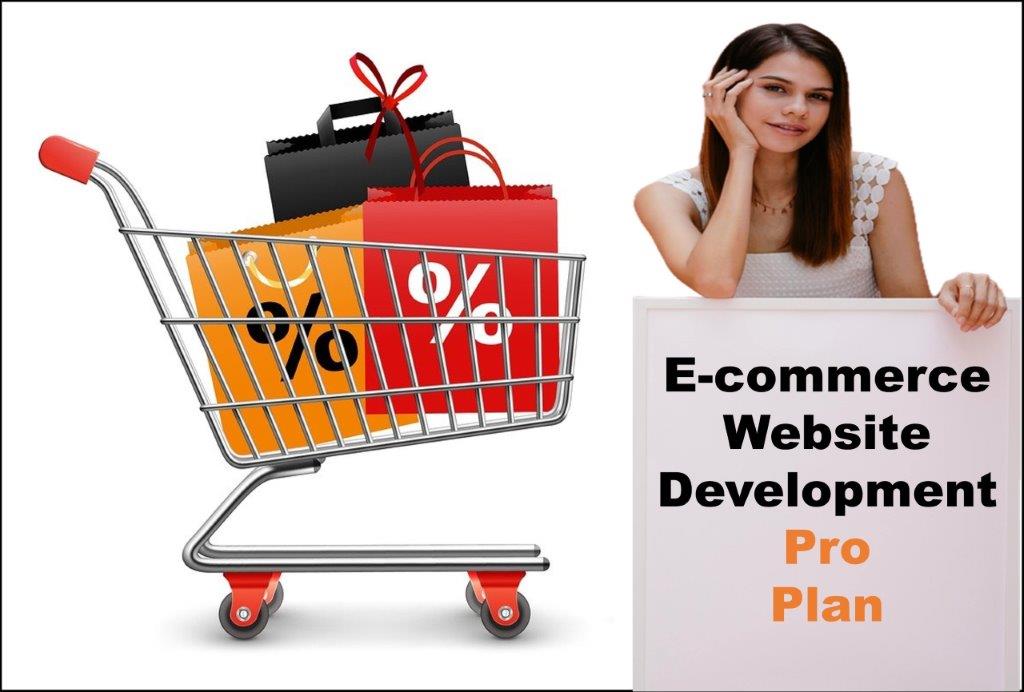 professional ecommerce website development agency in Tallahassee Florida