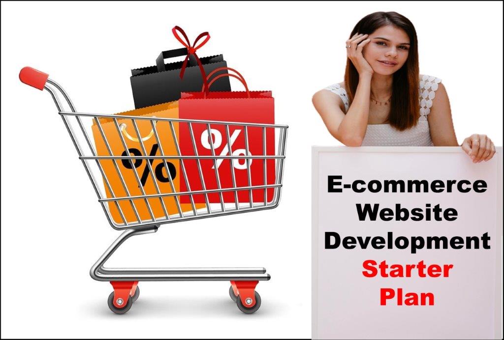E-Commerce Website Development in Tallahassee Florida