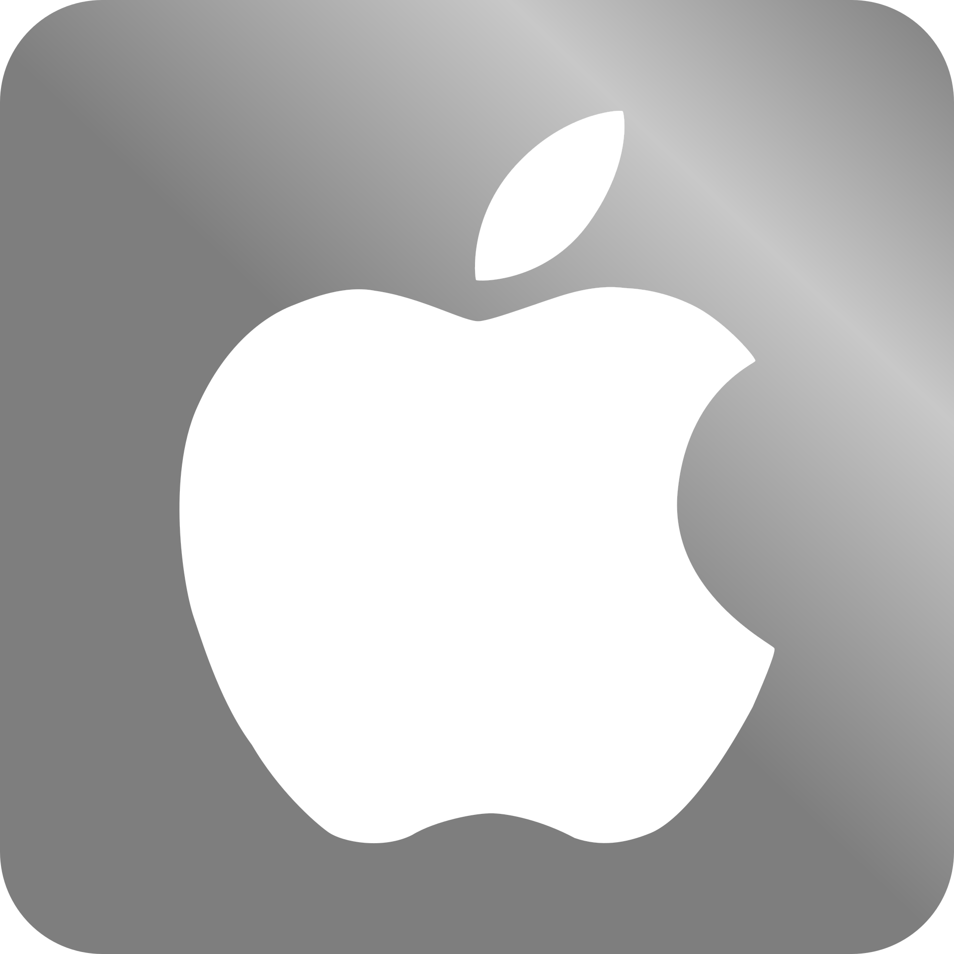 professional ios app development agency in Tallahassee Florida