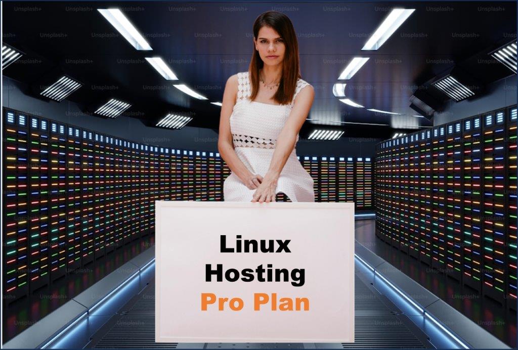 linux hosting windows hosting provider in Tallahassee Florida