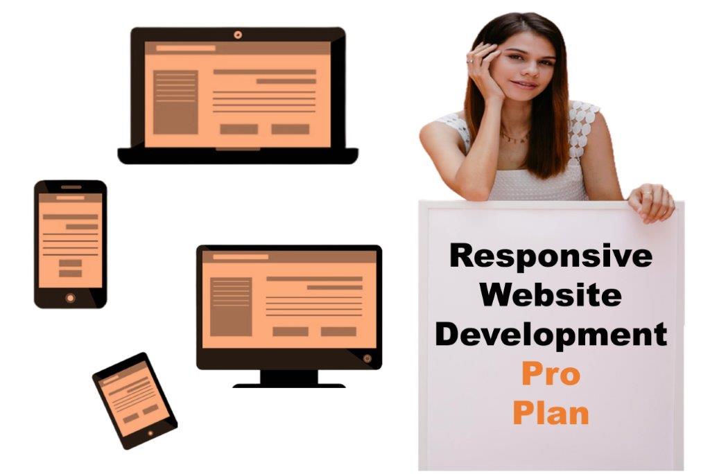 expert responsive website development agency in Tallahassee Florida